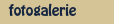 fotogalerie